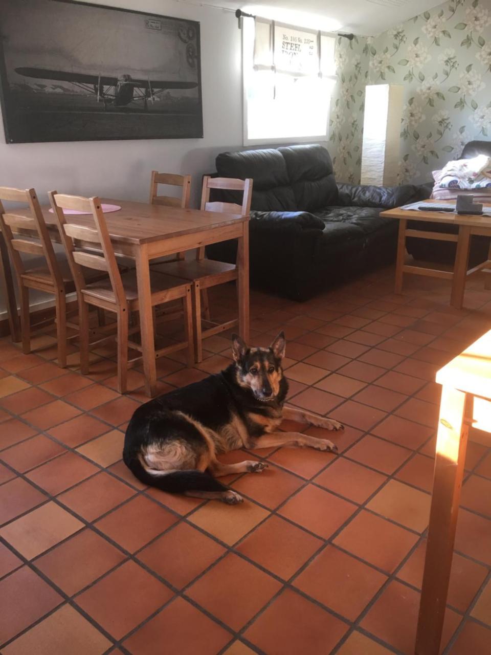 Vanga Hostel Kültér fotó